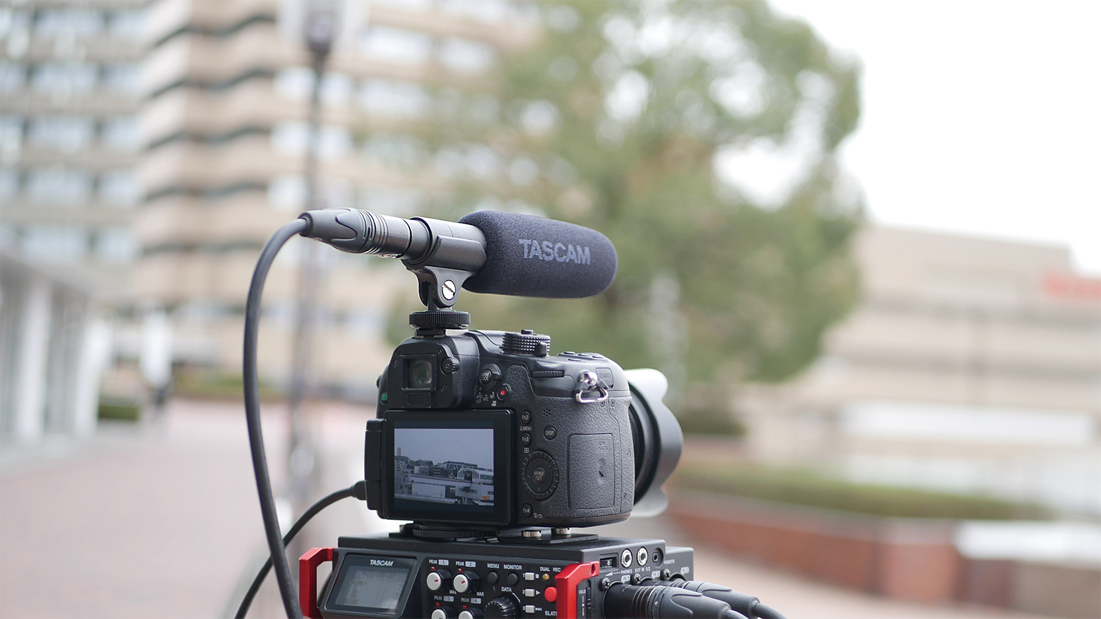 TASCAM TM-200SG Shotgun Microphone